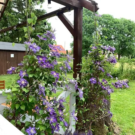 Uroczy Dom Nad Jeziorem Sniardwy Tuz Obok Plazy Vakantiehuis *